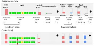 Girls-Boys: An Investigation of Gender Differences in the Behavioral and Neural Mechanisms of Trust and Reciprocity in Adolescence